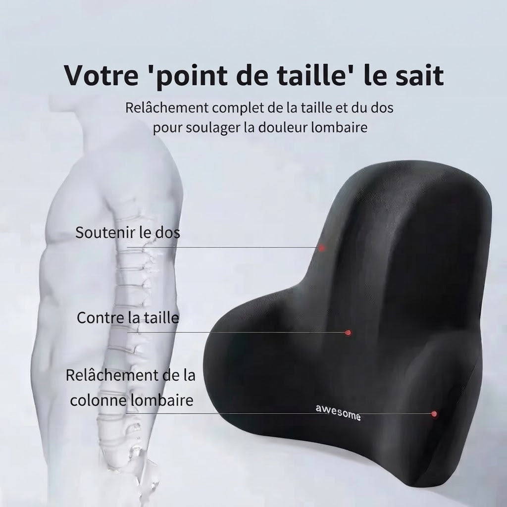 AWESOME | Soutien Lombaire Ergonomique